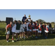 Copa Informatica 2017